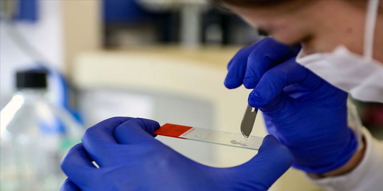 Geniş çaplı antikor araştırması, Kovid-19 aşısı için ümidi artırdı