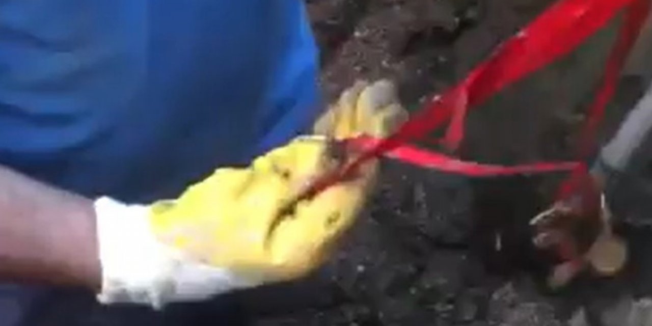 Temizlik yaparken altınlarını klozete düşürdü!