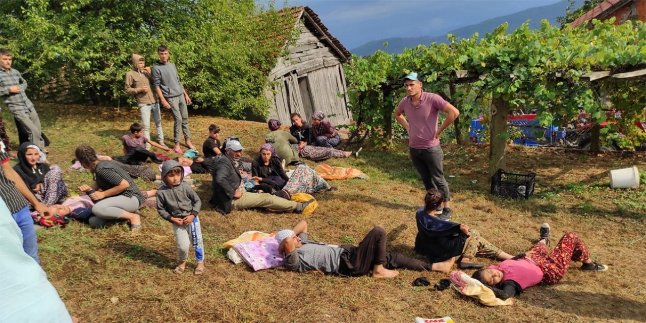 İşçileri taşıyan traktör devrildi! Çok sayıda yaralı var