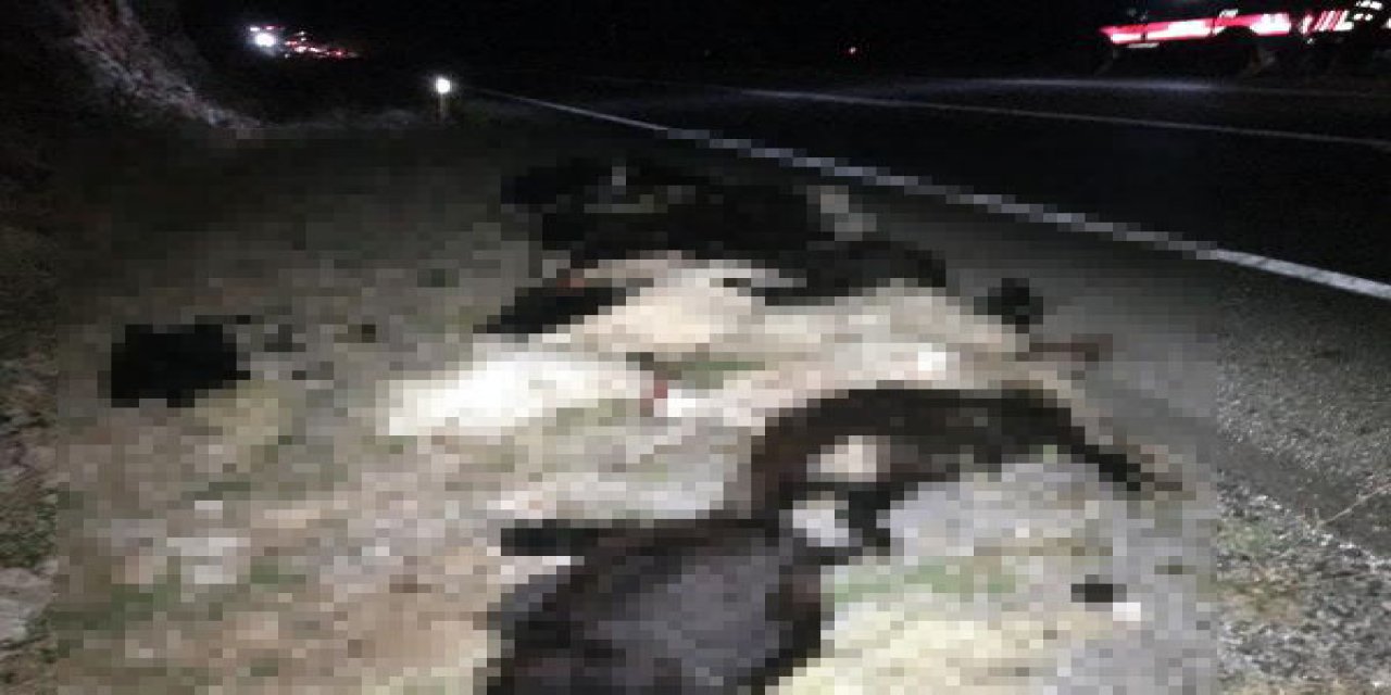 Konya yolunda kaza! Kamyonun çarptığı sürüdeki 27 küçükbaş hayvan telef oldu