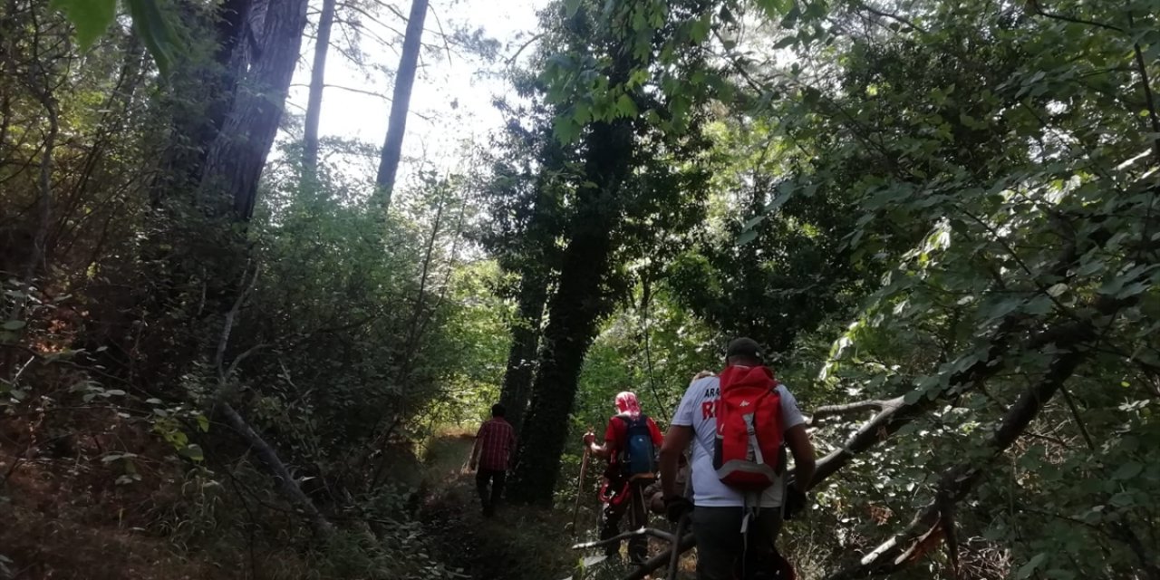 Ormanlık alanda kaybolan kadın 5 gündür aranıyor