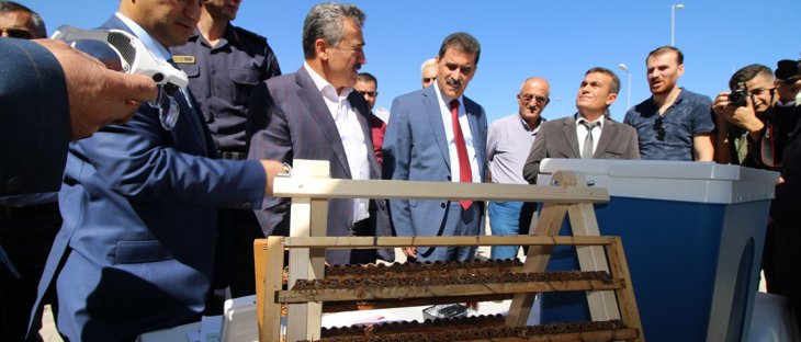 Seydişehir'de arı sütü üretimi