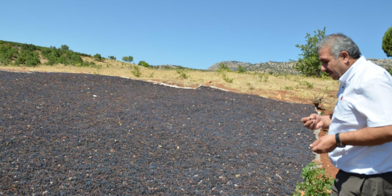 Başkan Demir, üzüm sergi alanlarında inceleme yaptı