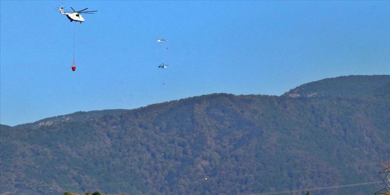 Tarım ve Orman Bakanı Pakdemirli: Hatay'daki orman yangını kontrol altına alındı