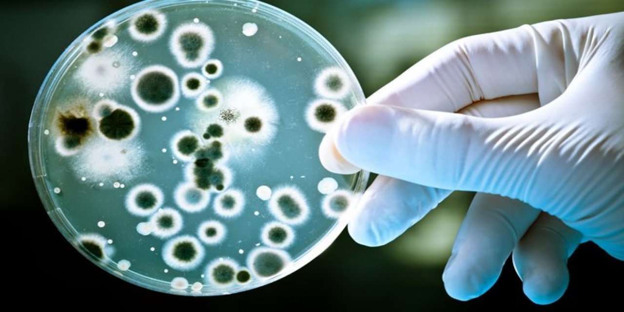 Çin’de yeni salgın! Bakterinin 3 binden fazla kişiye bulaştığı belirtiliyor
