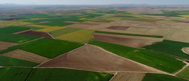 Konya'nın 3 mahallesinde arazi toplulaştırılması kararı