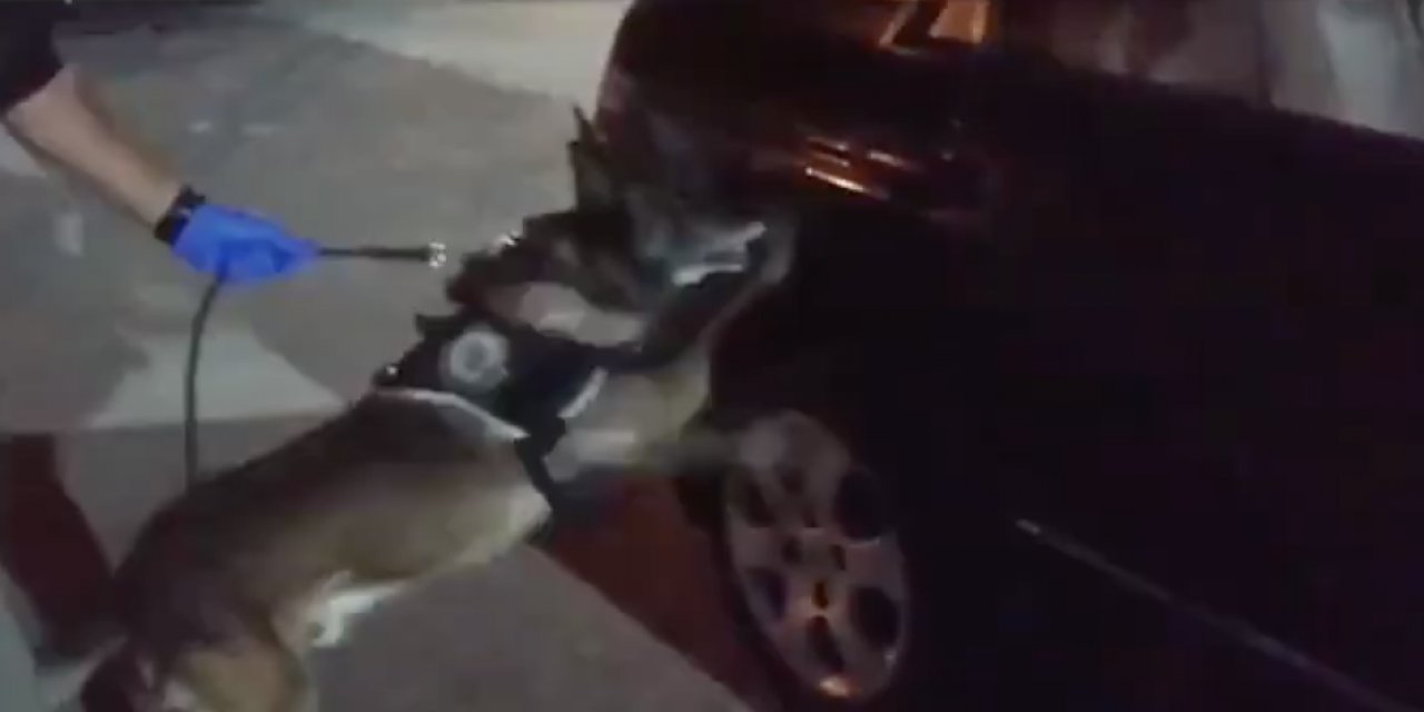 Konya polisinden uyuşturucu tacirlerine ağır darbe! Görüntüler paylaşıldı