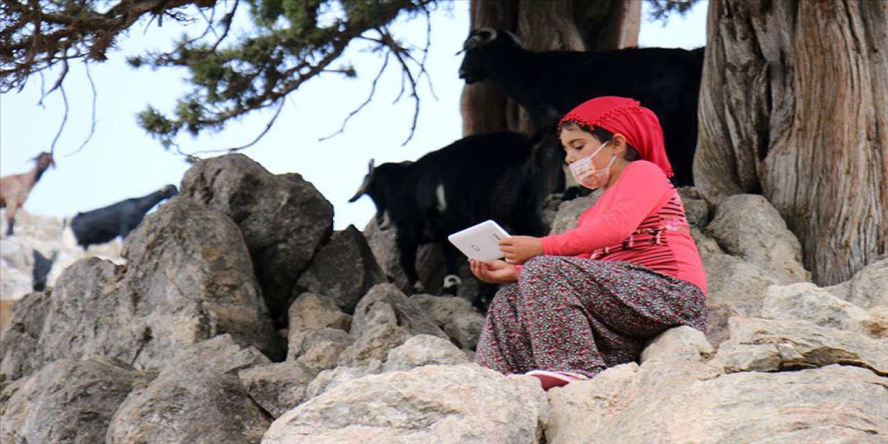EBA'dan derslerini takip edemeyen Yörük kızı Gülsüm'e tablet