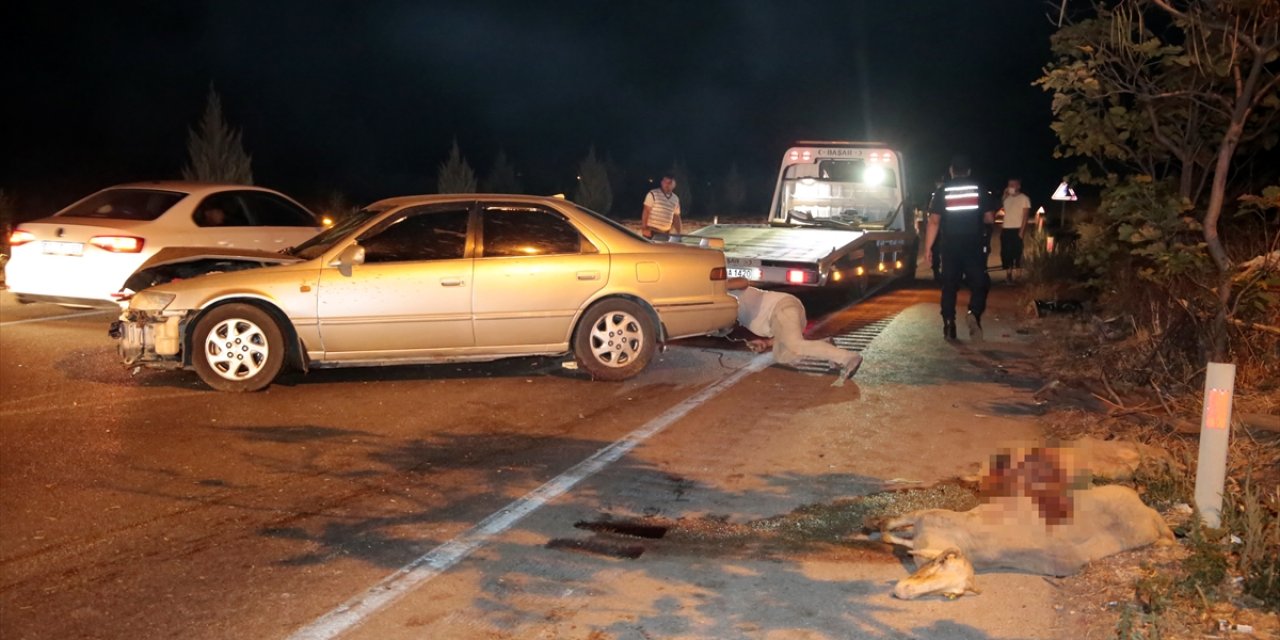 Koyun sürüsüne dalan otomobile başka bir araç çarptı: 7 kişi yaralandı, 15 koyun telef oldu