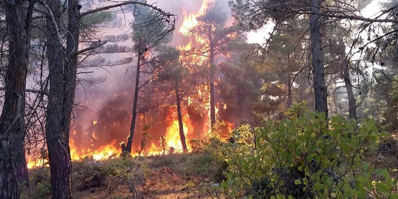 Karaman'da orman yangını! 10 dönüm alan zarar gördü
