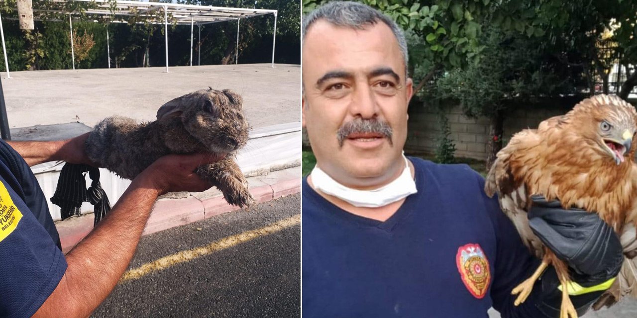 Konya Büyükşehir İtfaiyesi mahsur kalan hayvanların da imdadına yetişiyor