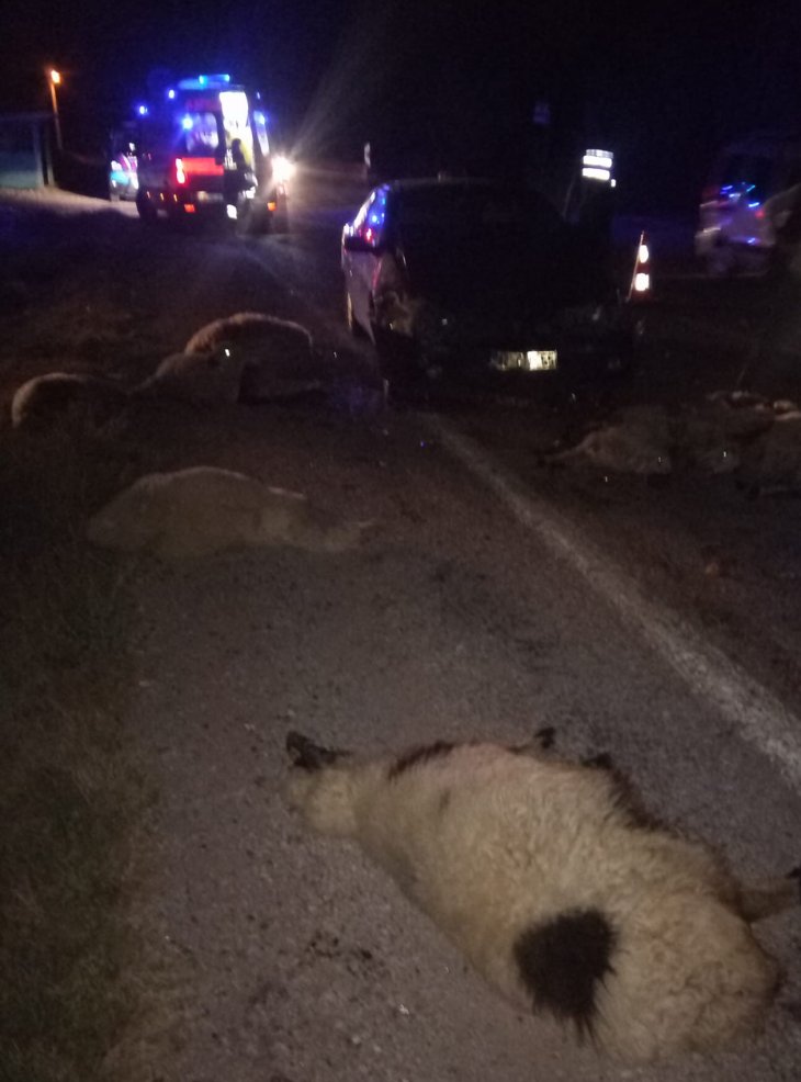Konya’da otomobil koyun sürüsüne daldı! 2 kişi yaralandı, 15 koyun telef oldu