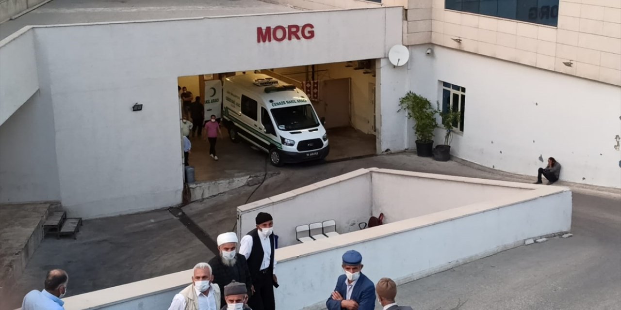 Ağaçtan düşen kişi hayatını kaybetti