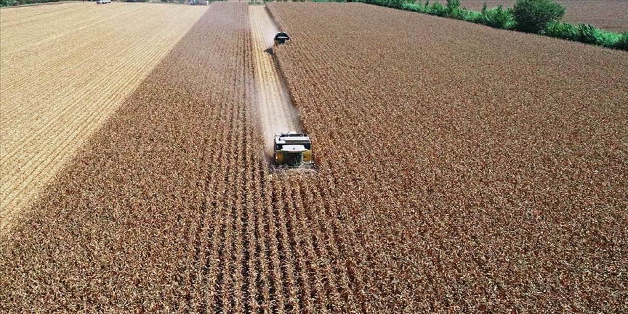 Bakan'dan flaş tarımsal destek açıklaması: 2 bin liranın altında olmayacak