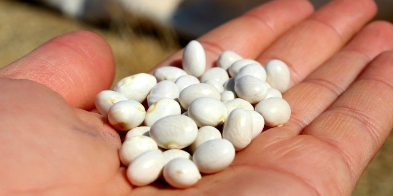 Artık coğrafi işaret tescil belgesi var