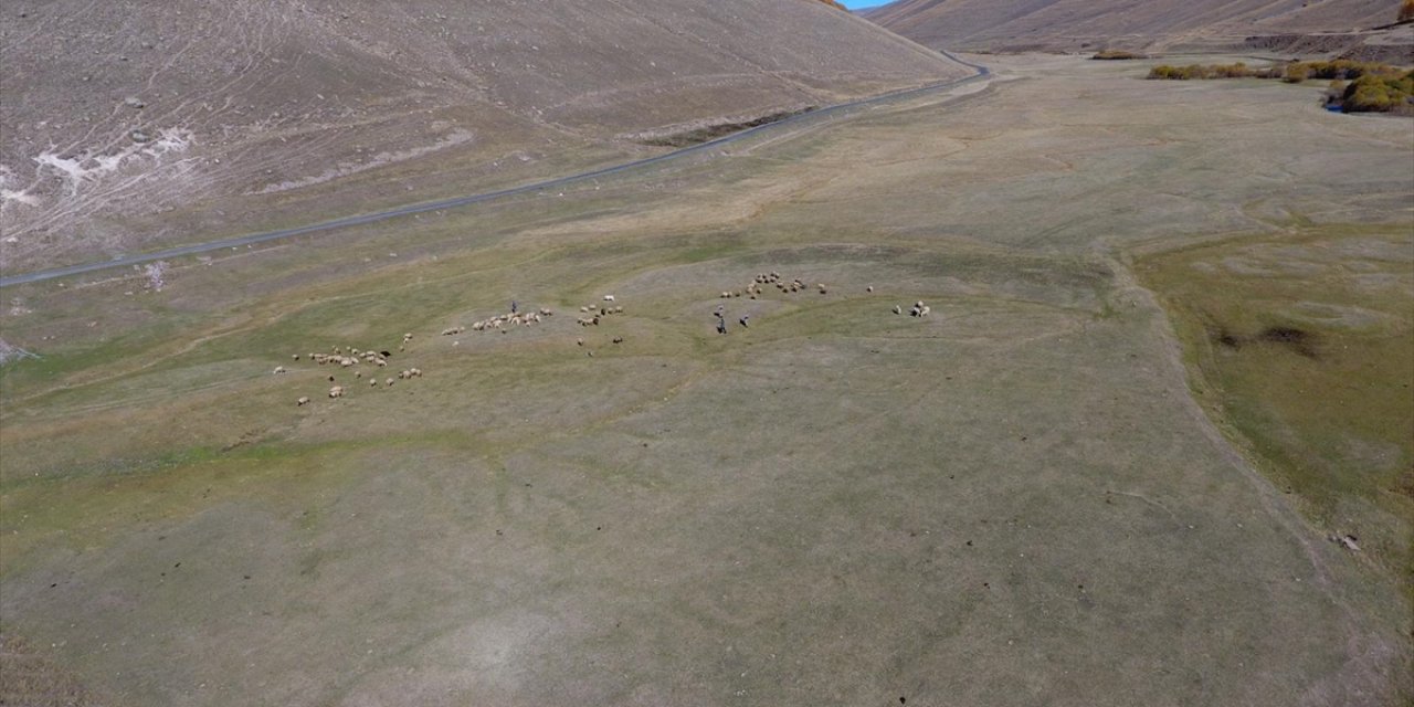 Kaybolan 132 küçükbaş hayvan drone ile bulundu