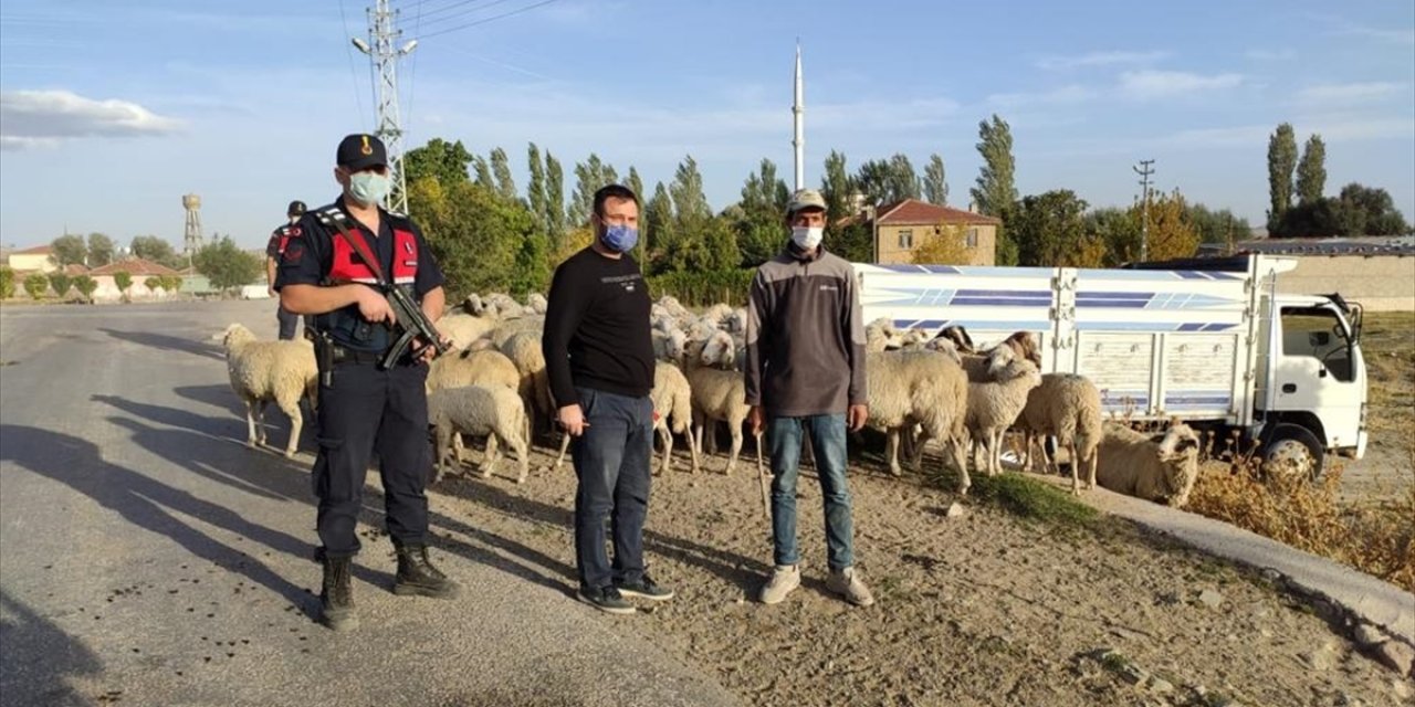 Suriye uyruklu çobanla işbirliği yapan hırsızlar 48 küçükbaş hayvan çaldı! Hayvanlar Konya sınırında bulundu