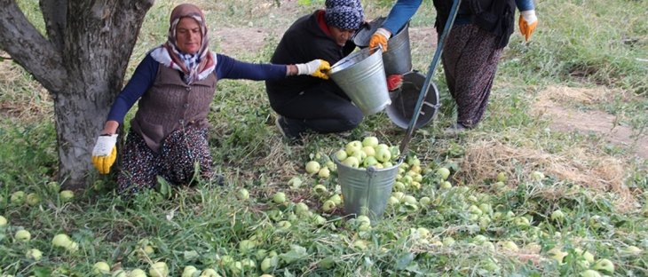 Kaymakam Kılınç elma hasatı yapan işçilerle buluştu