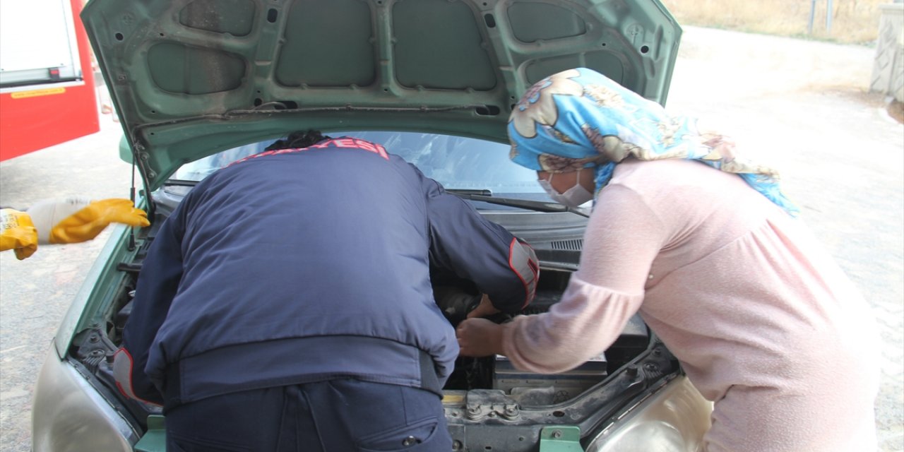 Konya'da girdiği otomobilin motor bölümünde mahsur kalan kediyi itfaiye ekipleri kurtardı
