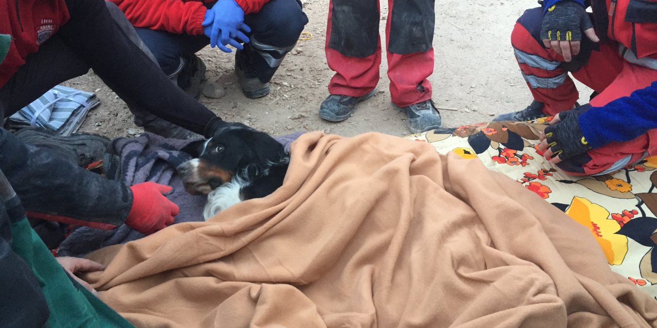 Konya İtfaiyesi deprem enkazından Ares isimli köpeği sağ olarak çıkardı