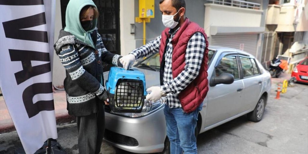 Kovid-19 karantinasındaki kişinin hastalanan kedisini belediye tedavi ettirdi