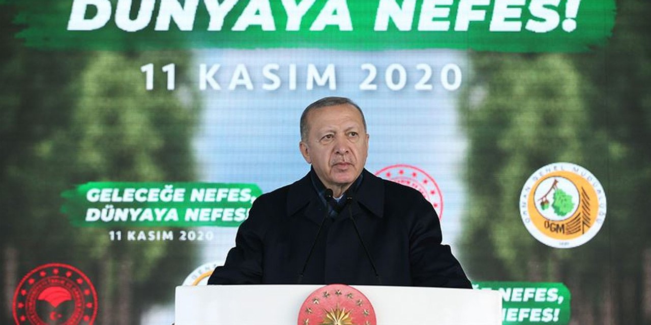 Cumhurbaşkanı Erdoğan 7 milyar fidan hedefini açıkladı