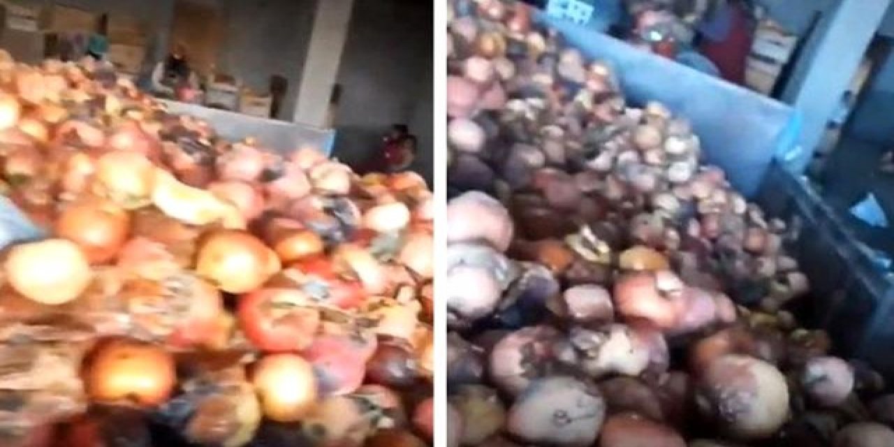 Bakanlık "çürük elma" videosuna inceleme başlattı