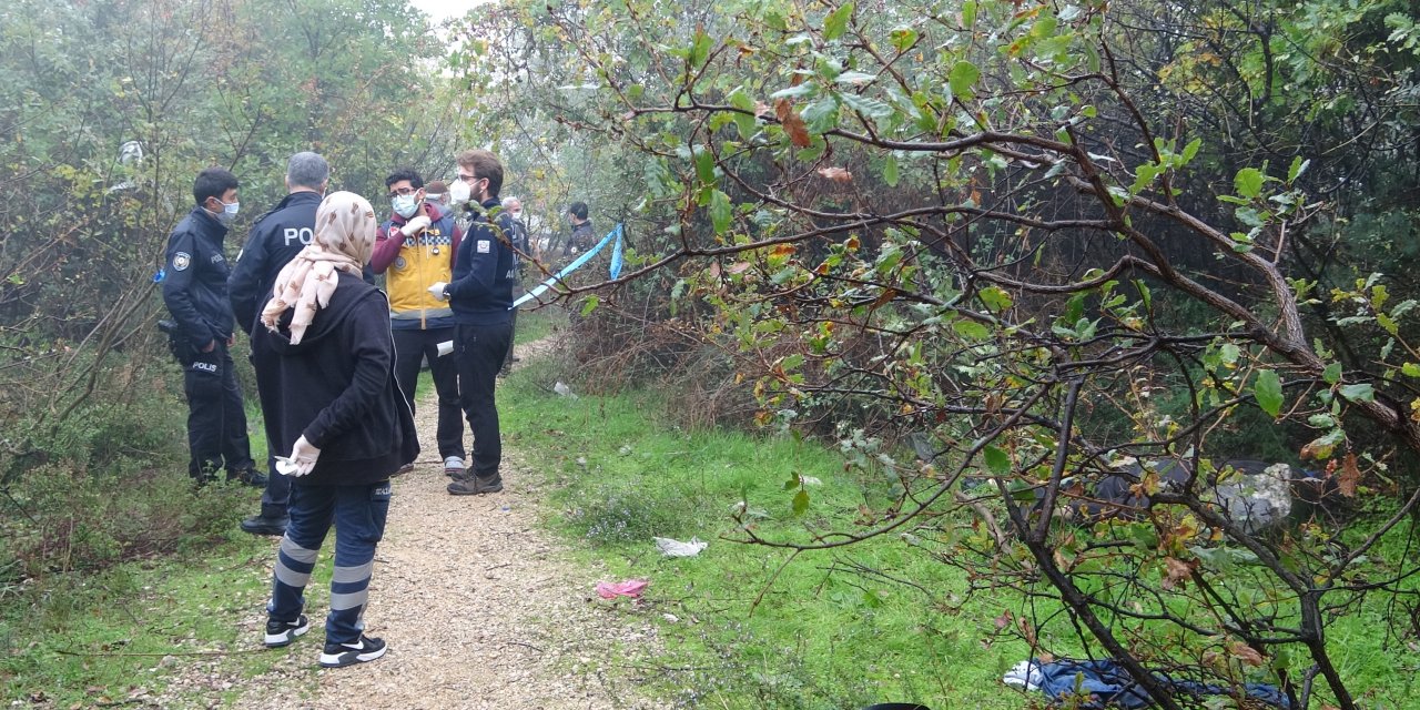 Odun toplamaya gittiği ormanlık alanda ölü bulundu