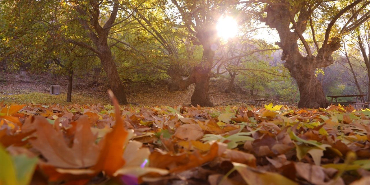 Konya'dan büyüleyici sonbahar kareleri