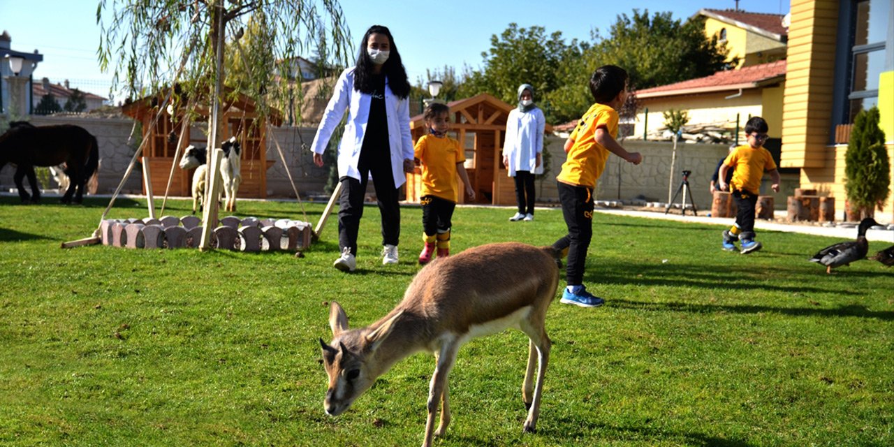 Konya'da bir anaokulunun öğrencileri at, ceylan ve kuzularla eğitim görüyor