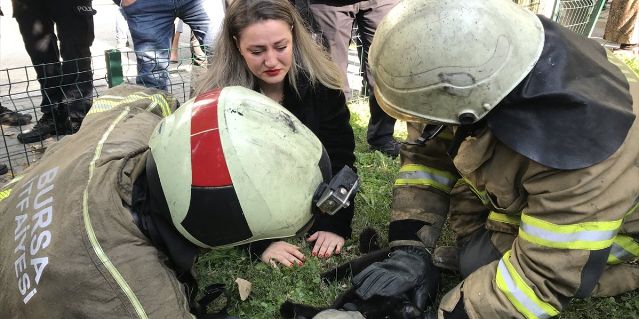 Dumandan etkilenen kedilere kalp masajı ve oksijen desteğiyle müdahale ettiler