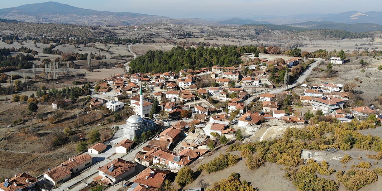 Köyün yarısı koronavirüse yakalandı, kimse ölmedi