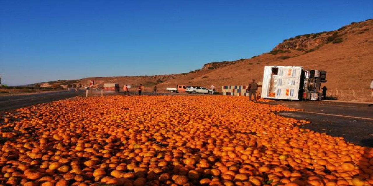 Devrilen kamyondaki 15 ton mandalina yola saçıldı