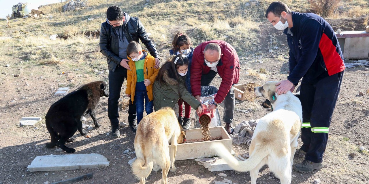 Başkan Kavuş miniklerle birlikte sokak hayvanlarını besledi