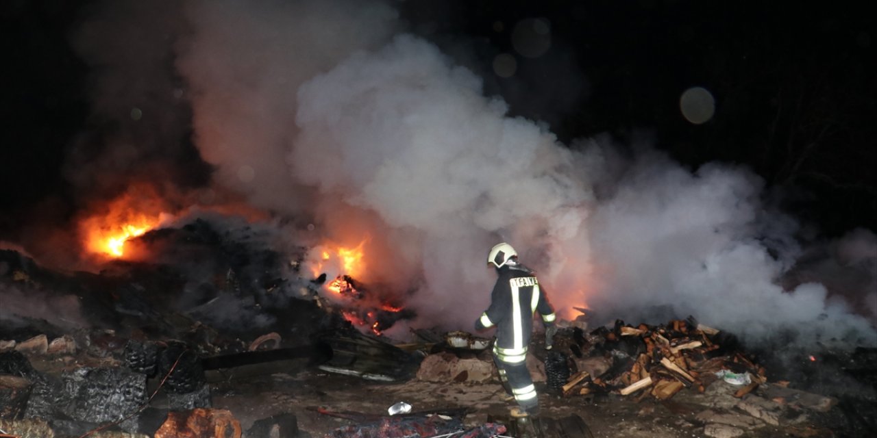Köyde yangın çıktı, 2 ev küle döndü, 6 büyükbaş hayvan telef oldu