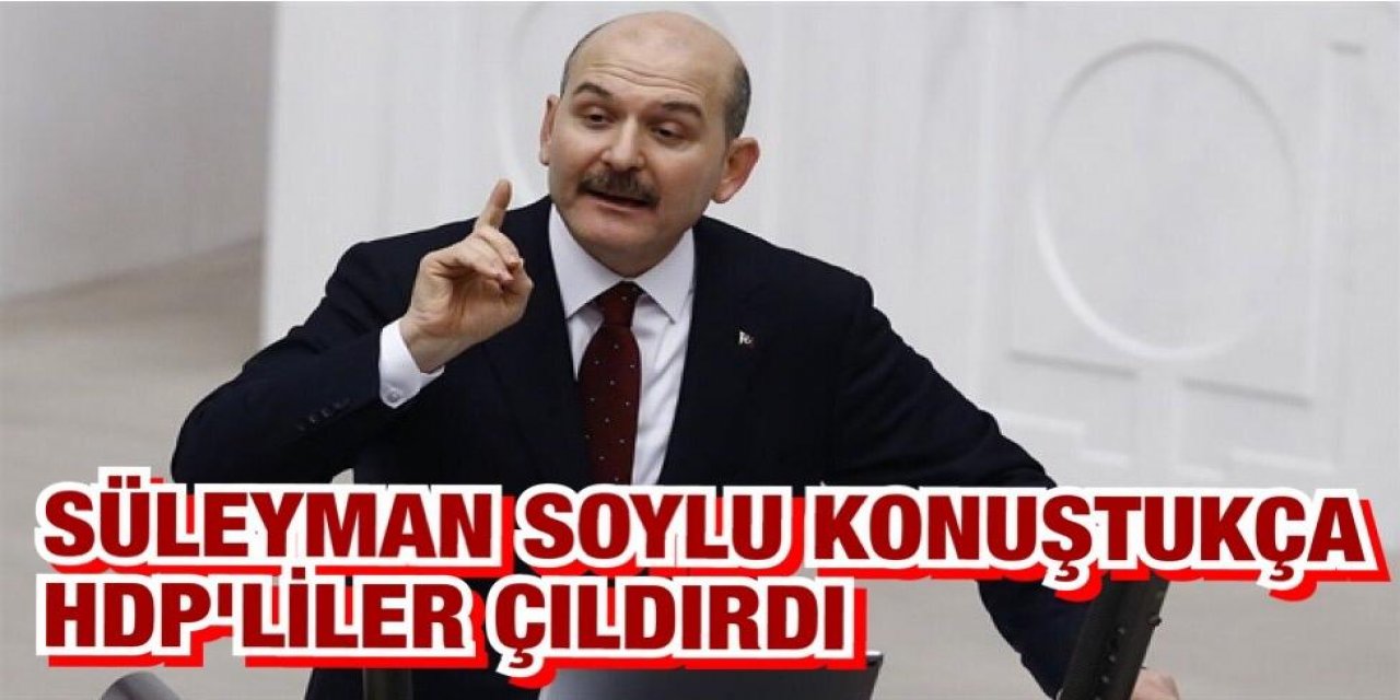 Süleyman Soylu’dan TBMM’de HDP'lileri çıldırtan konuşma I VİDEO