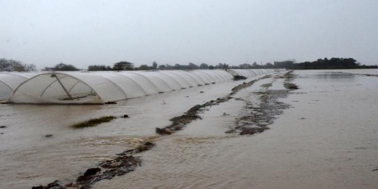 Kuvvetli yağış seraları su altında bıraktı