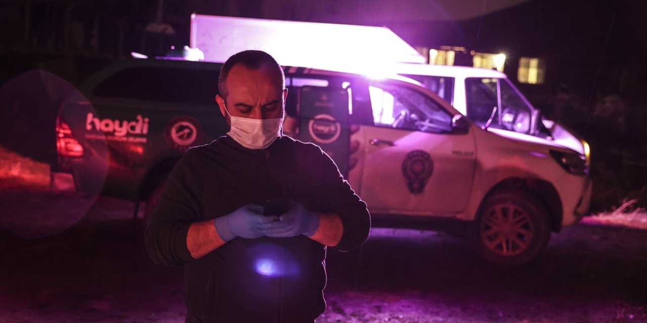 6 sokak köpeği zehirlenerek öldürülmüş halde bulundu