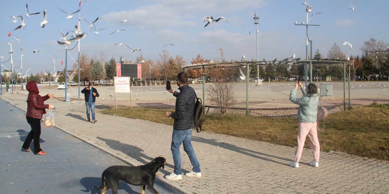 Beyşehir Gölü kıyıları yabancı turistlere kaldı