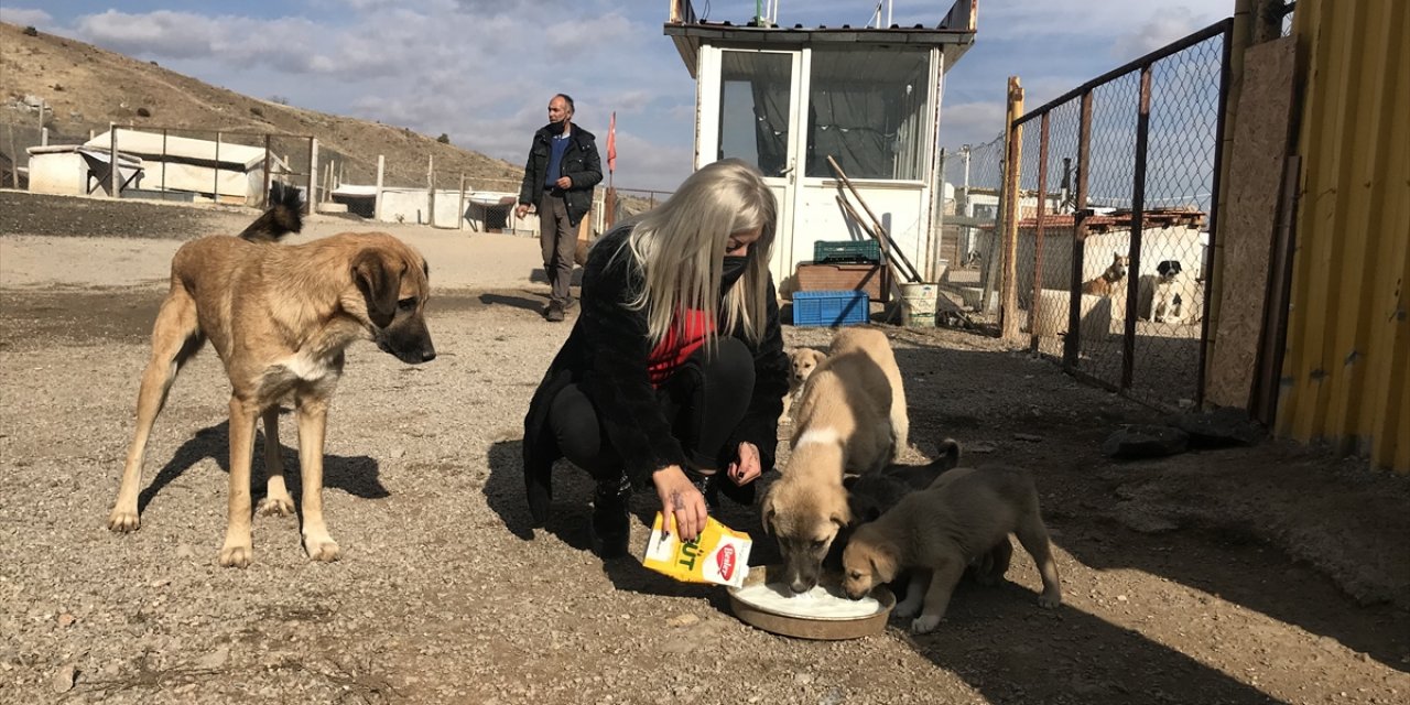 Konyalı kuaför açtığı barınakta 350 sokak köpeğinin bakımını üstleniyor