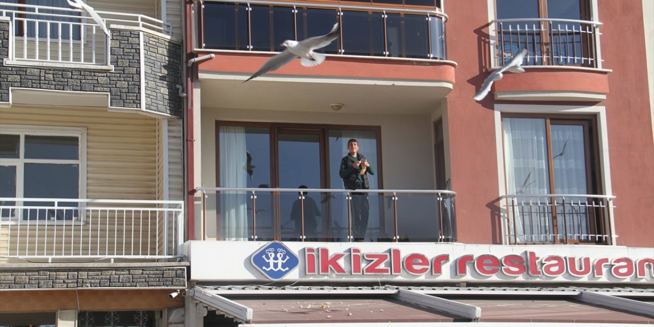 Beyşehir'de vatandaşlar martı sürülerini evlerinin balkonundan ekmek atarak besliyorlar