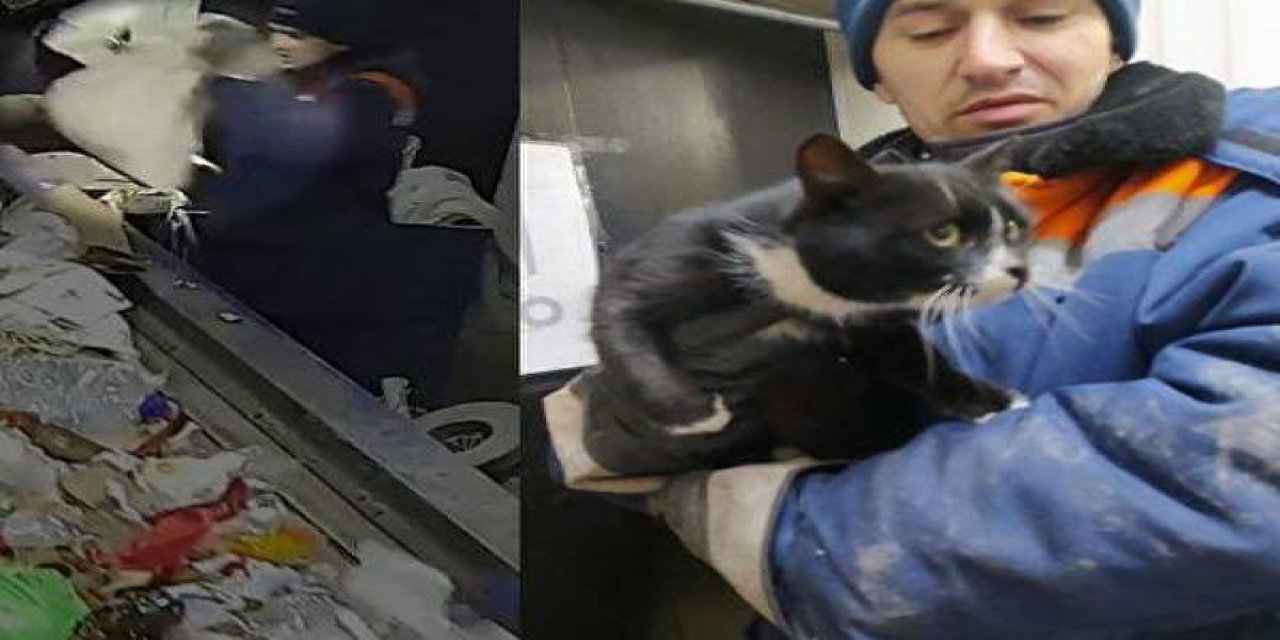 Atık arıtma tesisinde ölümden dönen kedi, ‘Çevre Bakanı Yardımcısı’ oldu