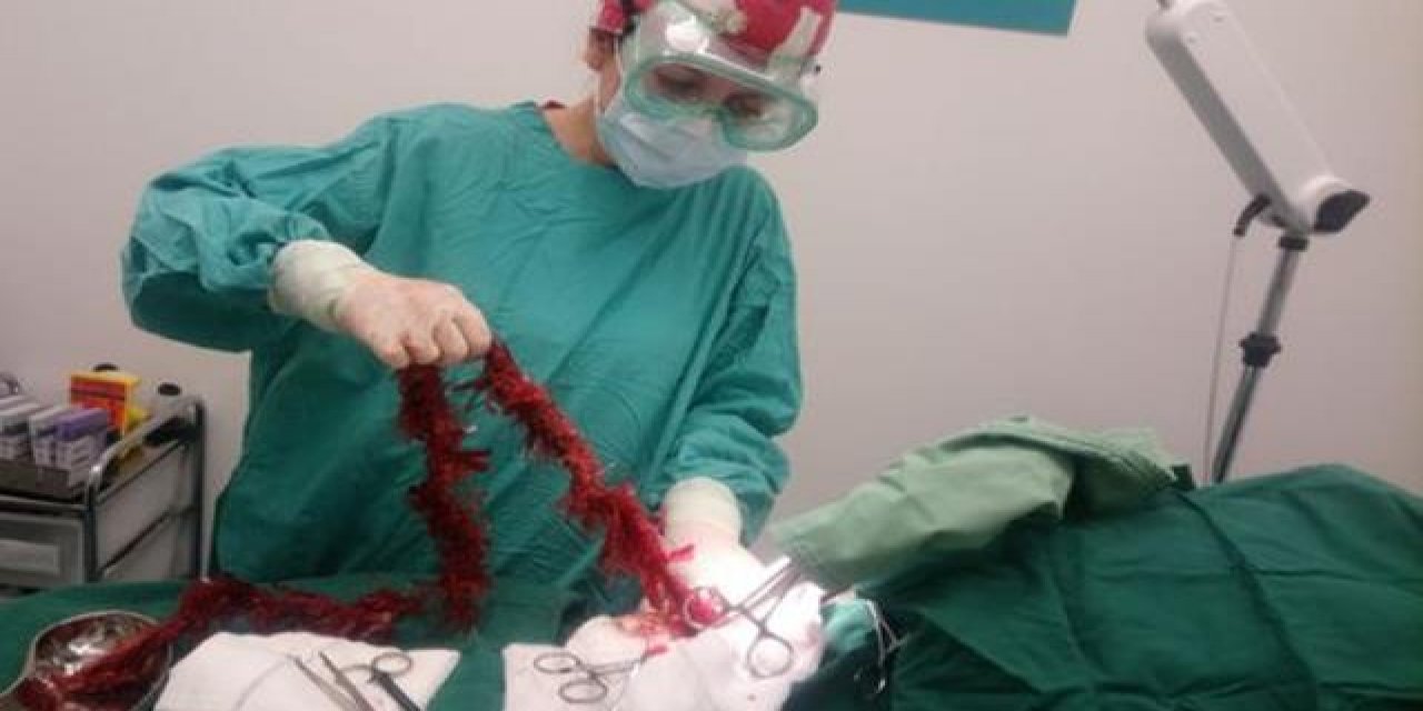 Acil ameliyata aldılar! Evde kaybolan yılbaşı süsü içinden çıktı