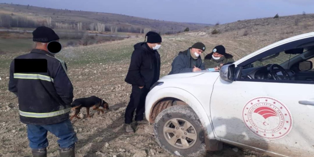 Ekipler Aralık ayında kaçak avcılara göz açtırmadı