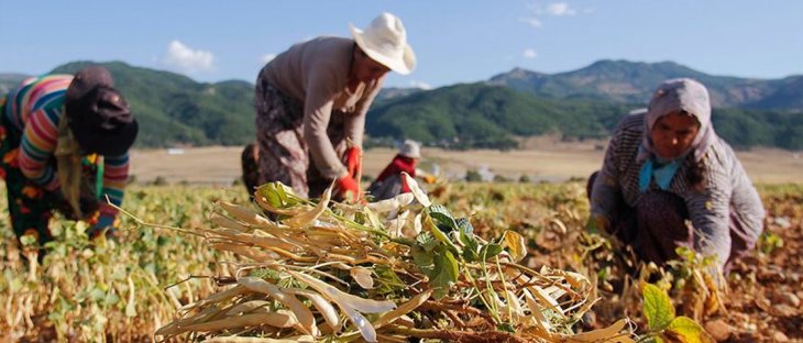 Kırsaldaki kadınlara bakanlık desteği