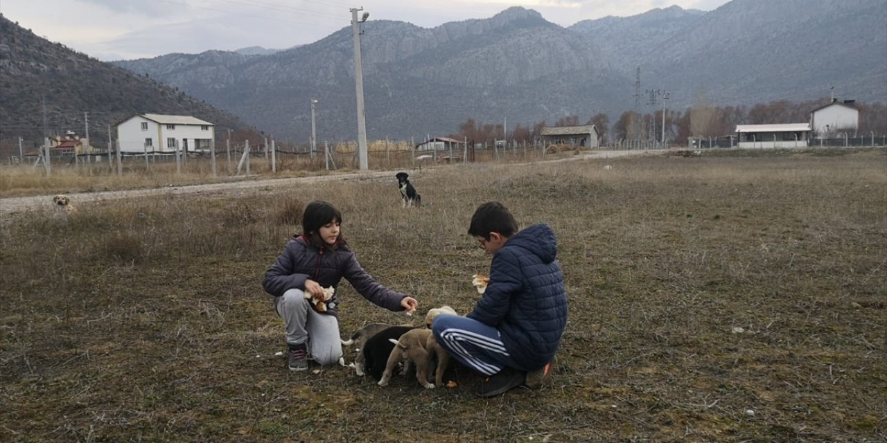 Konya'da annelerinin doyuramadığı yavru köpeklere iki küçük kardeş sahip çıktı