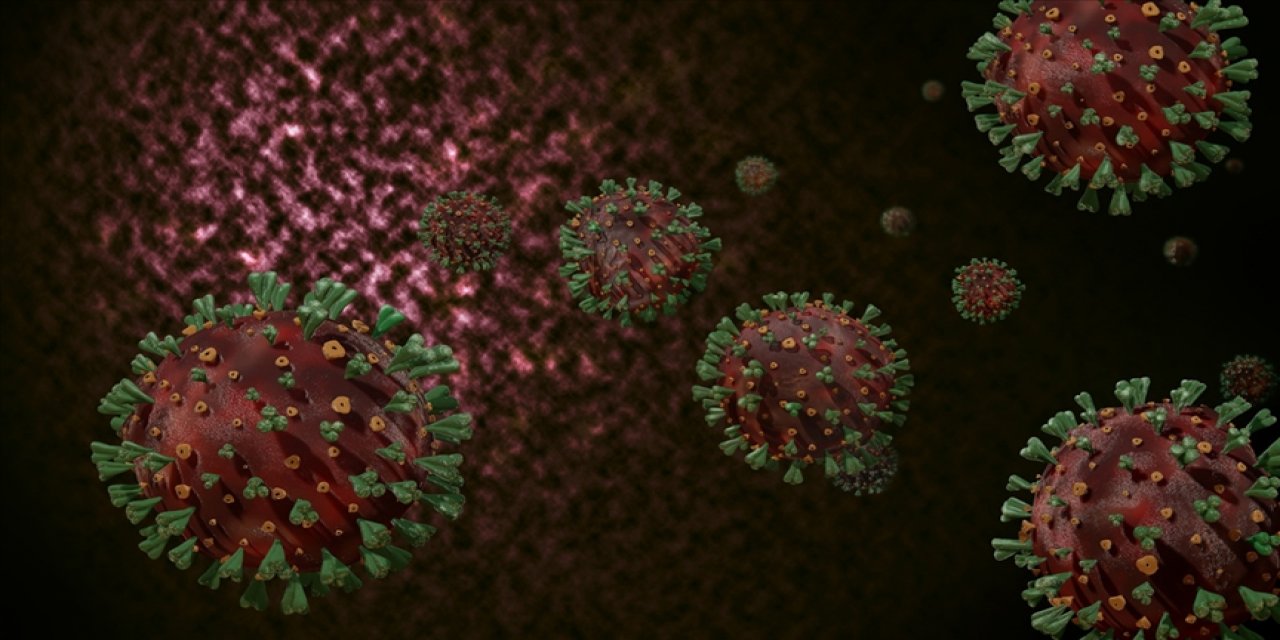 6 ay sonra ortaya çıkıyor! Virüsü yenen 4 kişiden 3'ünde görüldü