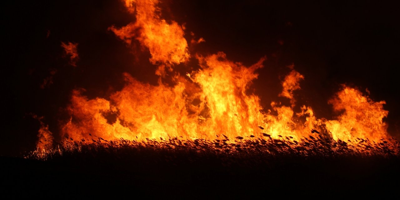 Korkutan görüntü Konya’dan! Beyşehir Gölü kenarındaki sazlık alan yandı