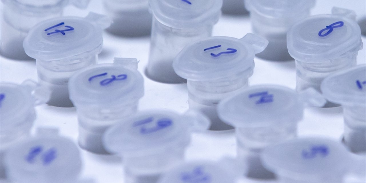 Türkiye'deki yerli ve milli aşı çalışmalarında son durum