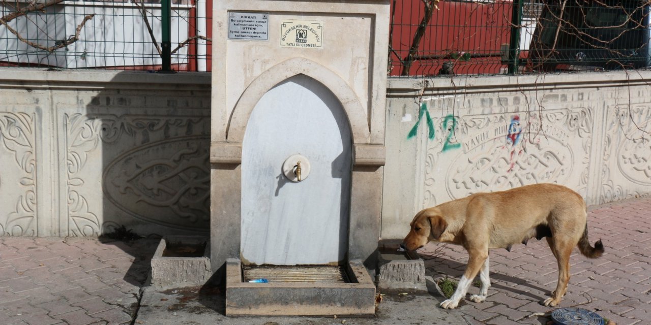 Osmanlı'dan ilham alan KOSKİ sokak hayvanlarının su ihtiyacını böyle karşılıyor